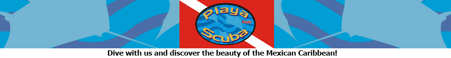 Playa Scuba